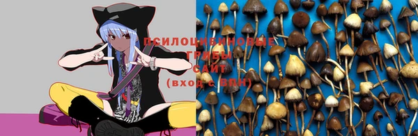 ешки Балахна