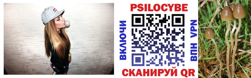 как найти   Верхнеуральск  Псилоцибиновые грибы Magic Shrooms 